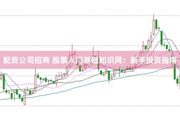 配资公司招商 股票入门基础知识网：新手投资指南