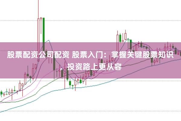 股票配资公司配资 股票入门：掌握关键股票知识，投资路上更从容