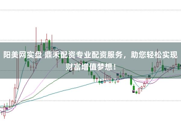 阳美网实盘 鼎禾配资专业配资服务，助您轻松实现财富增值梦想！