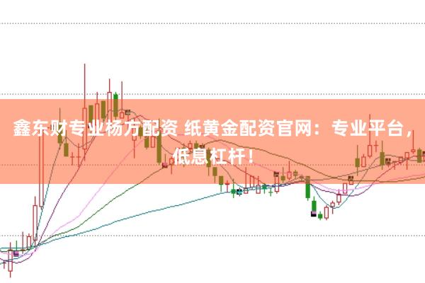 鑫东财专业杨方配资 纸黄金配资官网：专业平台，低息杠杆！