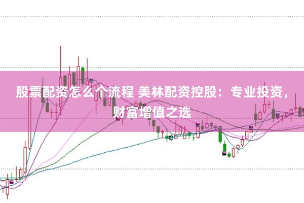 股票配资怎么个流程 美林配资控股：专业投资，财富增值之选