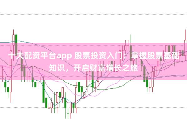 十大配资平台app 股票投资入门：掌握股票基础知识，开启财富增长之旅
