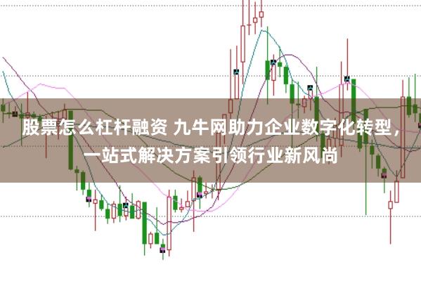 股票怎么杠杆融资 九牛网助力企业数字化转型，一站式解决方案引领行业新风尚