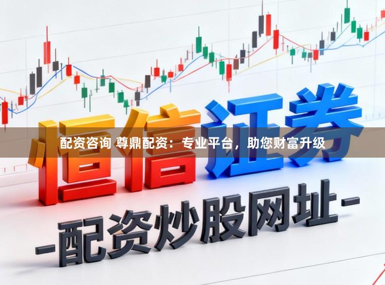 配资咨询 尊鼎配资：专业平台，助您财富升级